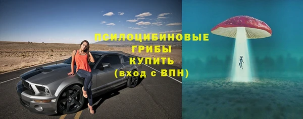 ГАЛЛЮЦИНОГЕННЫЕ ГРИБЫ Абдулино