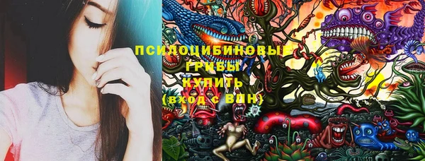 круглые Абаза