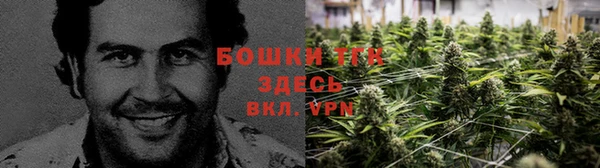 круглые Абаза