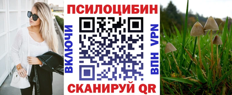 маркетплейс состав  Мирный  Галлюциногенные грибы Psilocybe  где найти  