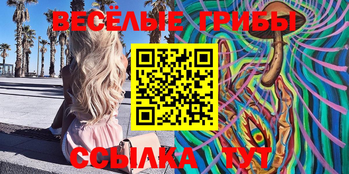Псилоцибиновые грибы Cubensis Мирный